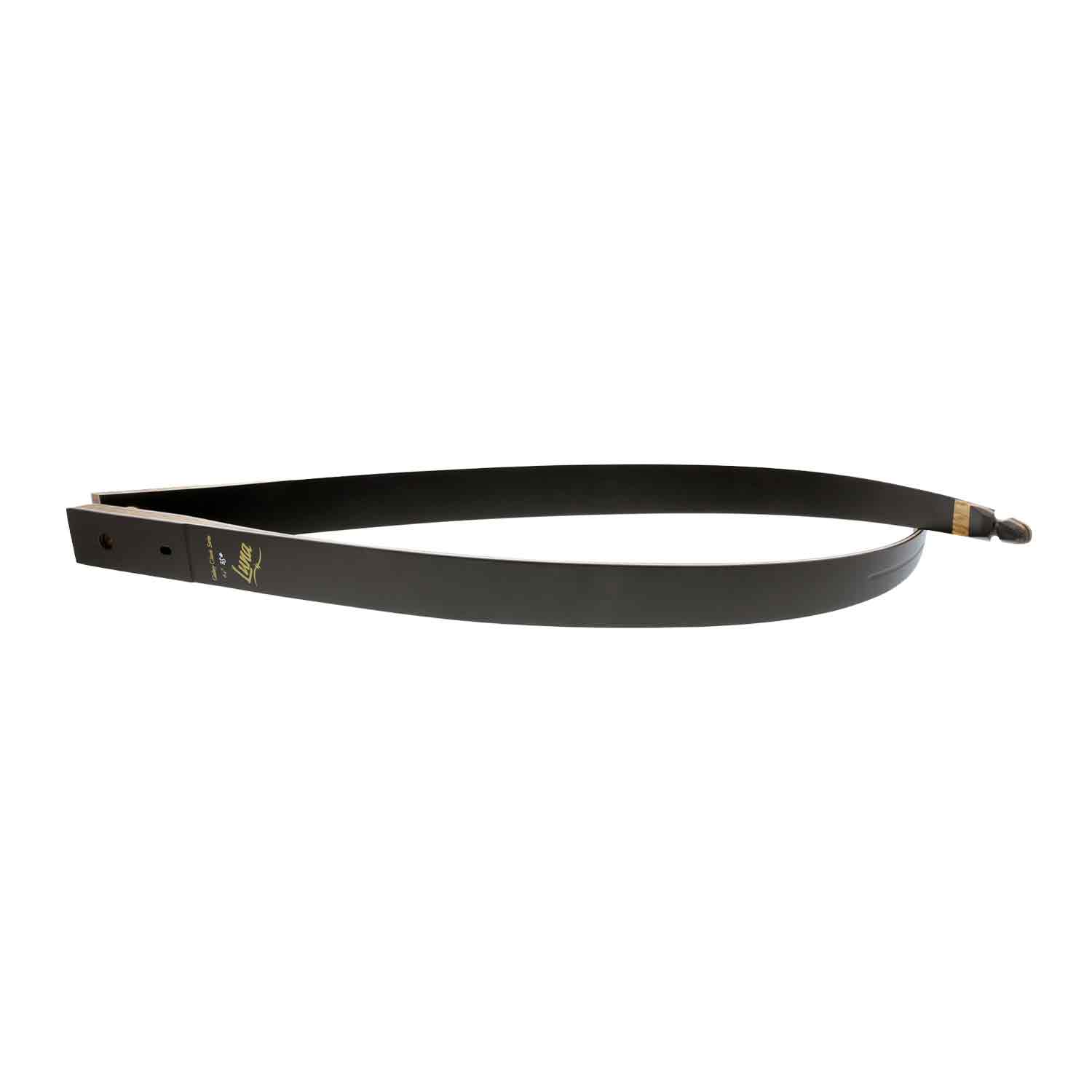 Galaxy Luna Black Carbon Limbs