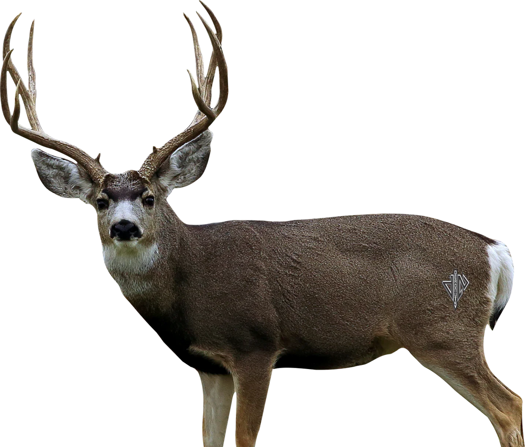 Deadnuts Outdoor 2d Targets